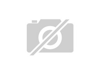 Suchen neues Zuhause für stubenreines frettchen